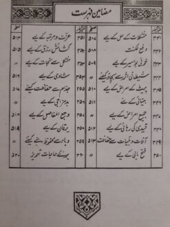 Ganjina e Asrar e Auliya - Image 7