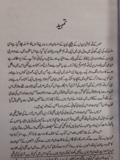 Neel Ki Sahira - by Rider Haggard - Urdu Translation by Mazharul Haq Alvi (Novel) - Image 3