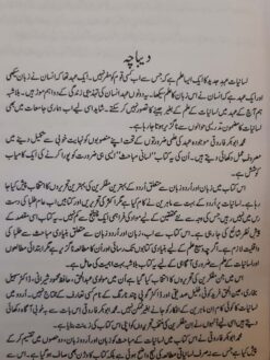 Zaban aur Lasaniyat ke Mubahis - by Muhammad Abubakar Farooqi - Image 3